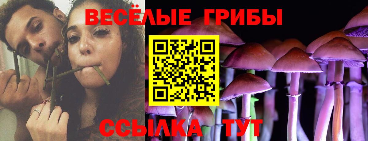 Псилоцибиновые грибы MAGIC MUSHROOMS Ирбит